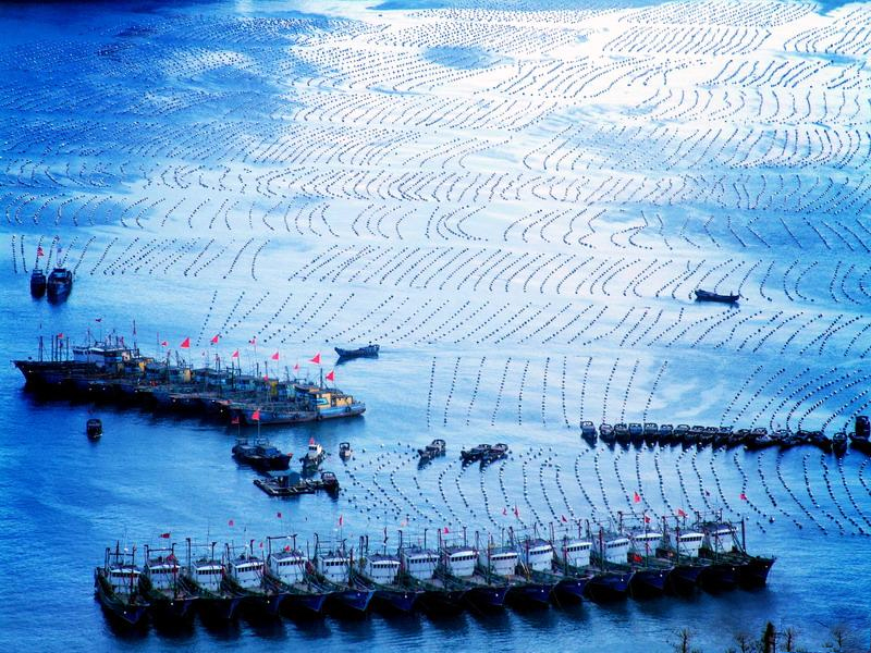 五一去舟山嵊泗列岛和东极岛,舟山东极岛和枸杞岛区别