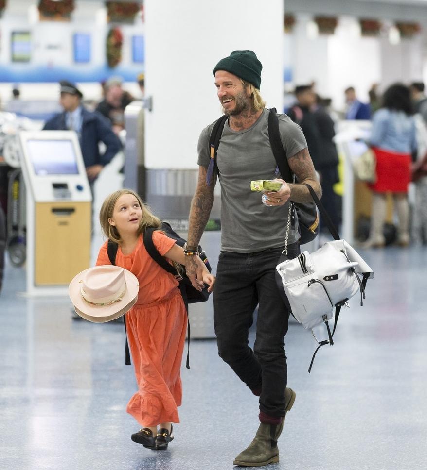 贝嫂维多利亚与小七,贝嫂和小七维多利亚