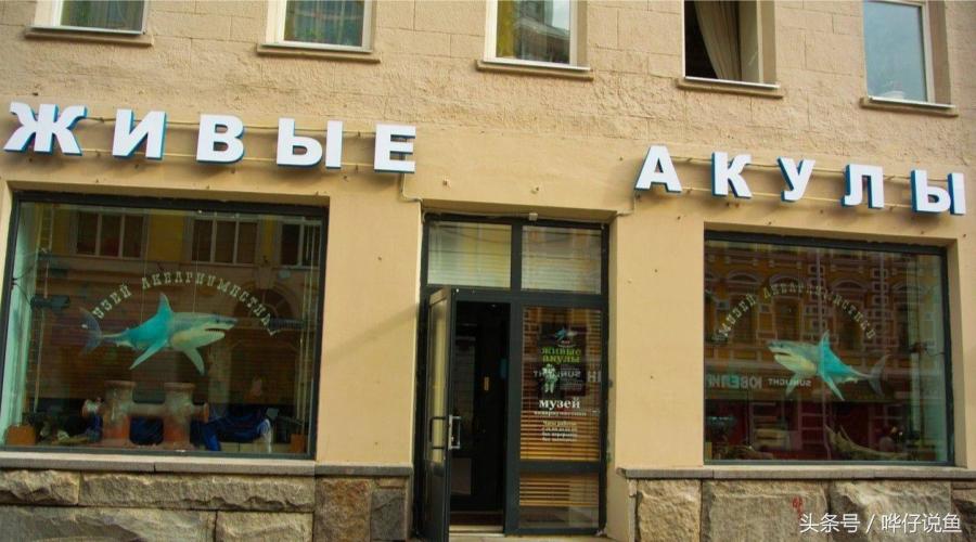 《告水族行业从业人员书》——奇妙的水族店，猥琐的水族店