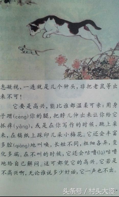 语文课本童年的回忆板书,小学语文课本回忆2012版