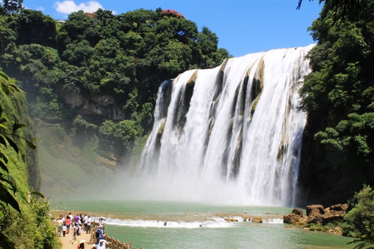 茶叶知识红茶推荐,六大茶山经典茶有哪些