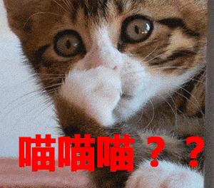 买手推荐的小众包包,小众时尚包包推荐