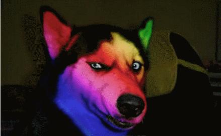 不到两点半睡不着,不到2点睡不着算不算失眠