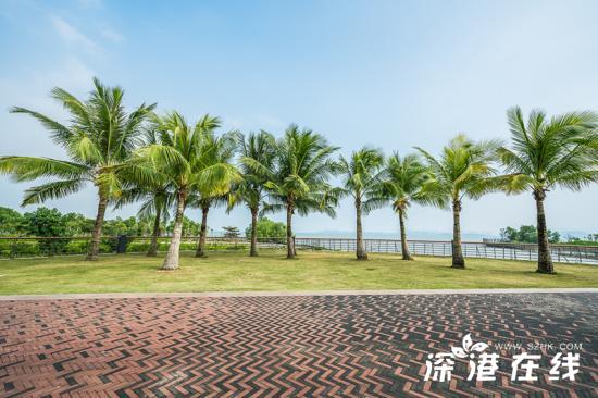 深圳湾公园好玩吗?都有哪些景点?深圳湾公园游玩指南
