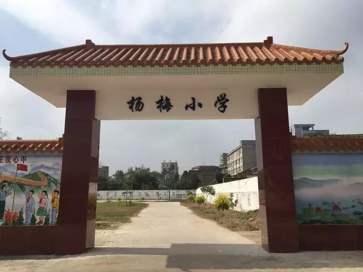 杨梅桥村篮球赛直播,迎春杯男子篮球赛隆重举行