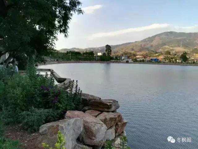 一只眼睛的动物,一只眼睛的鱼类