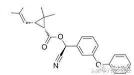 河蟹塘清塘的一些关注事项,河蟹塘消毒用什么好