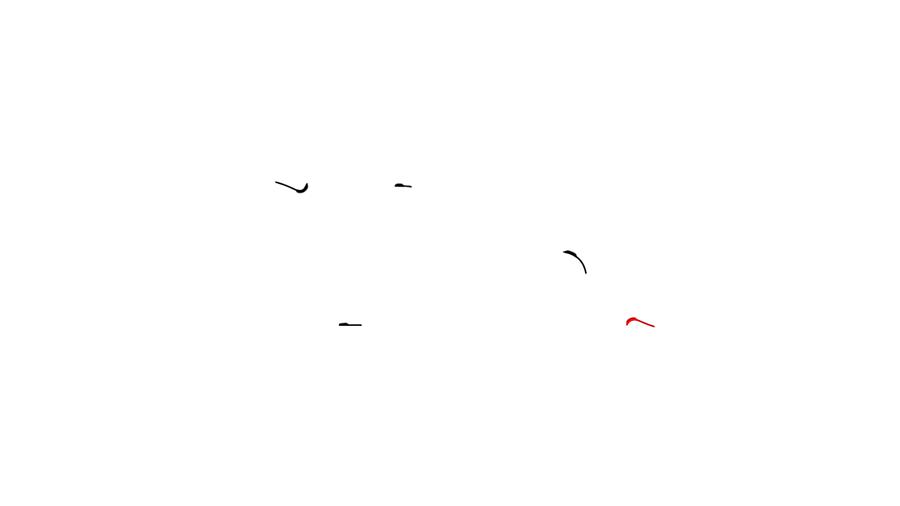 兰蔻小黑瓶打折活动,兰蔻小黑瓶双十一怎么买划算