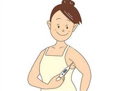 不用b超怎么判断怀孕几周,不用b超判断母猫是否假孕