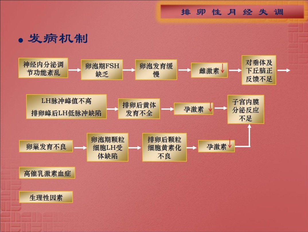 「功血」——本在排卵期，却又来“例假”怎么回事？