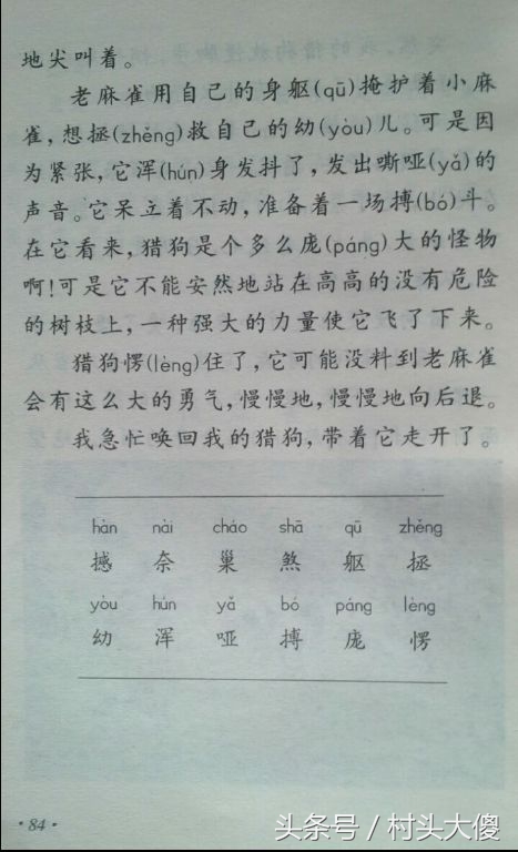 语文课本童年的回忆板书,小学语文课本回忆2012版