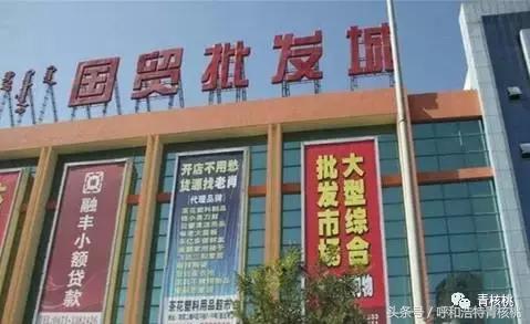 呼和浩特年货必买清单,呼和浩特年货大集指南