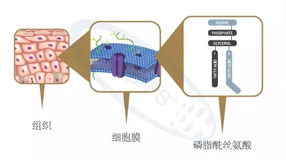Sharp-PS︱愿天堂再无痛苦……