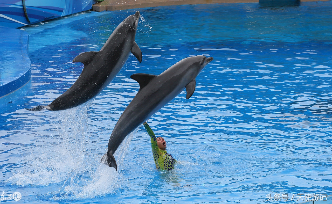 香港亲子一日游最佳攻略,香港迪士尼一日亲子游游记