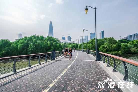 深圳湾公园好玩吗?都有哪些景点?深圳湾公园游玩指南