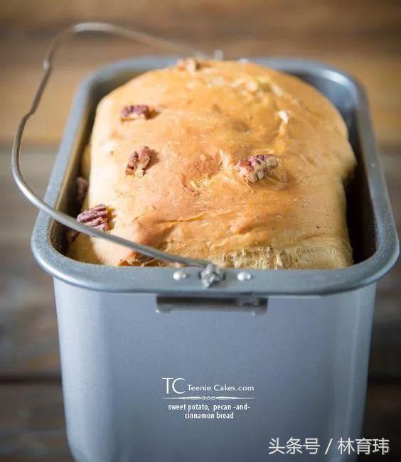 烘焙设备实用推荐,家庭如何选择烘焙机