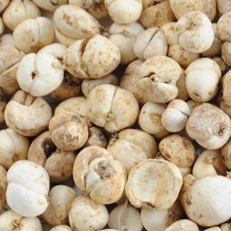 从新疆回去带点什么特产东西好呢,过年回家带的土特产