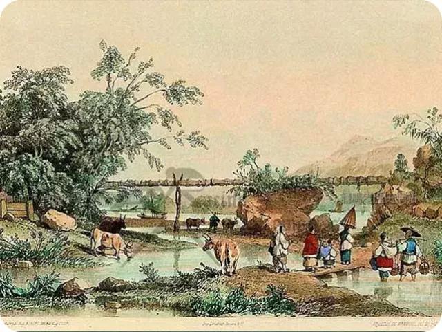 香港｜站在全世界的坟上，你看到了什么？