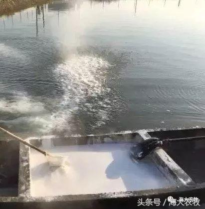 河蟹塘清塘的一些关注事项,河蟹塘消毒用什么好