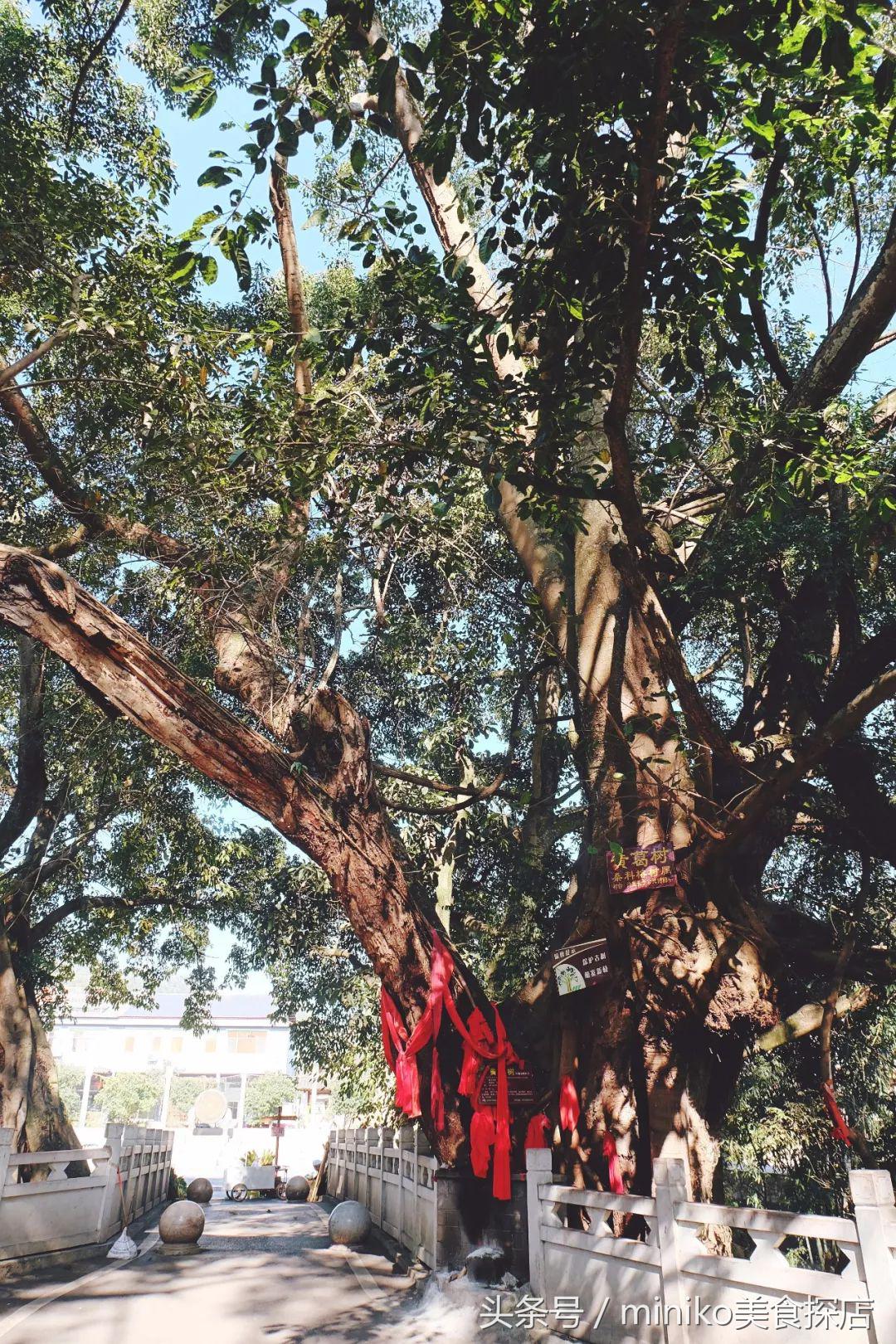 春节亲子两天一夜的旅游地方推荐,春节不挤的自驾路线