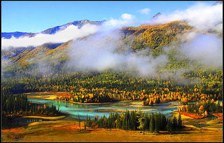 从新疆回去带点什么特产东西好呢,过年回家带的土特产