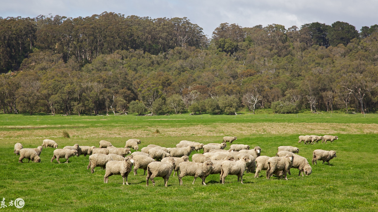 在农村怎样才可以赚到钱？新的一年想发家致富？这些会帮到你！