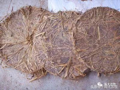 河蟹塘清塘的一些关注事项,河蟹塘消毒用什么好