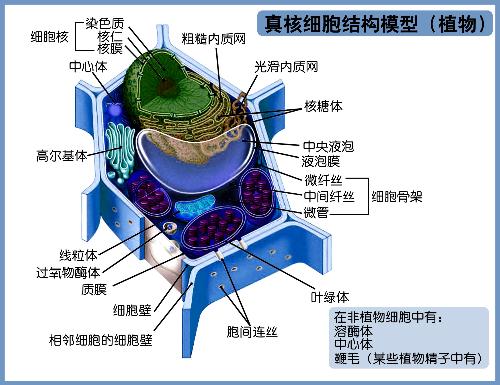 地球生命的演变,地球生命的演变简介