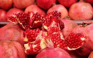 从新疆回去带点什么特产东西好呢,过年回家带的土特产