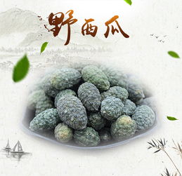 从新疆回去带点什么特产东西好呢,过年回家带的土特产