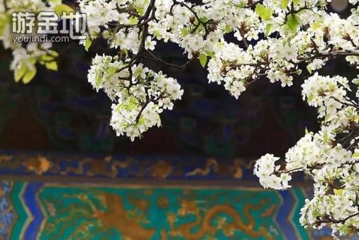 战胜自我心中的迷茫,战胜人生