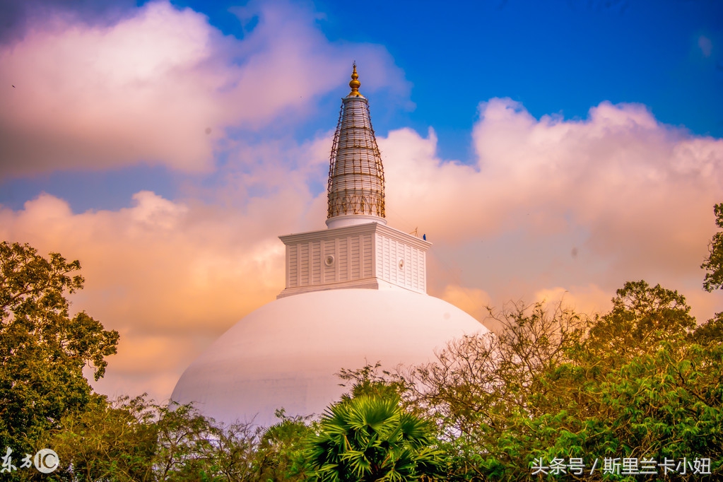旅行必备十大锦囊,旅行锦囊