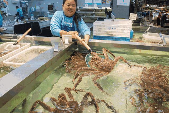 千亿级市场如何掘金,万亿生鲜市场如何掘金