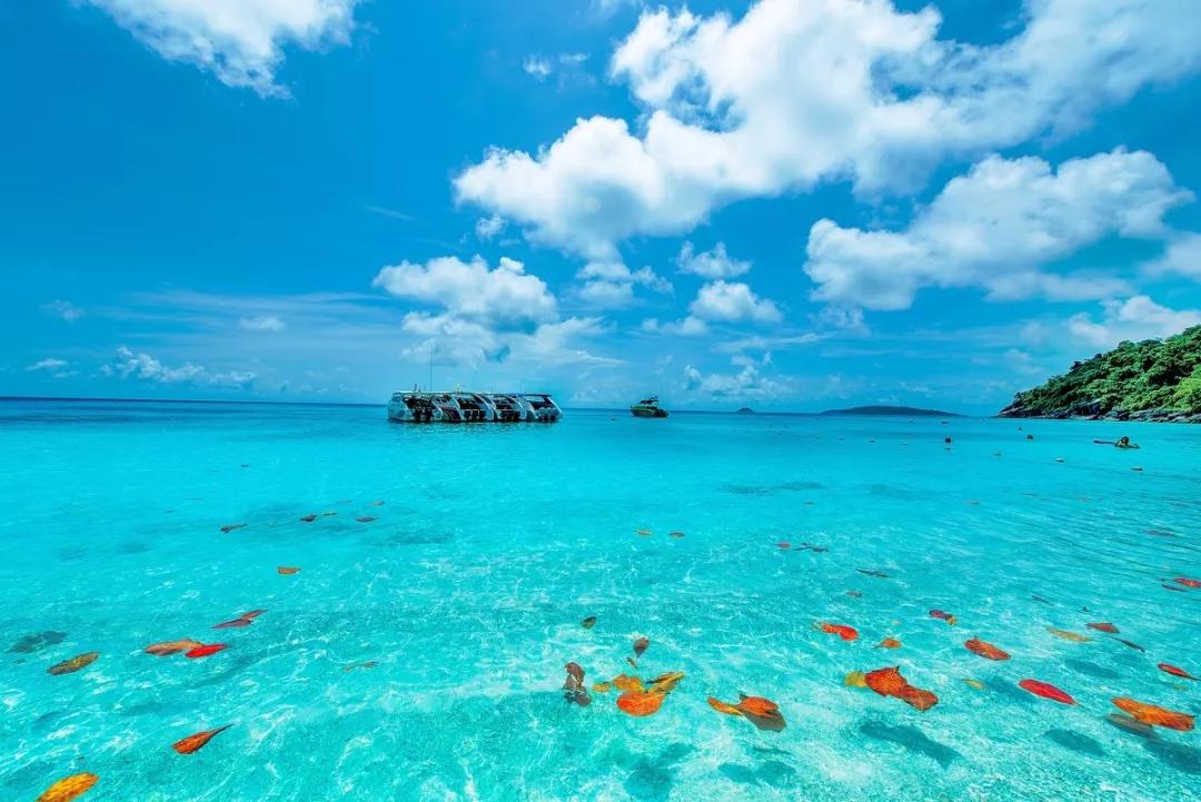 温馨提示一年一度的情人节到了,情人节重要提示