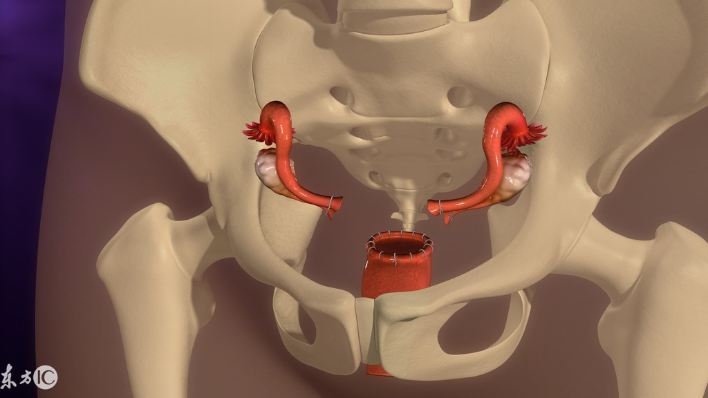病理报告子宫内膜增生伴不典型,病理诊断子宫内膜呈增生期反应