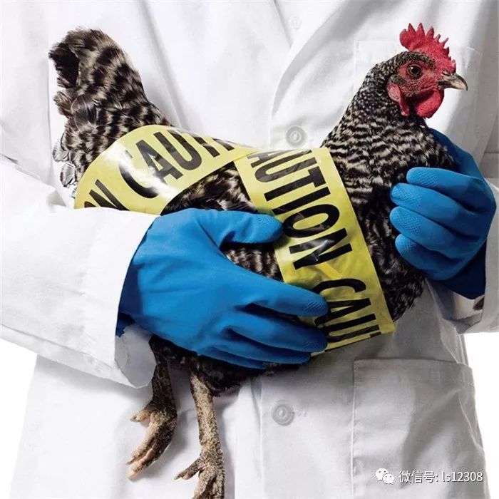 提醒：赴马尔代夫、日本、新加坡、非洲、澳洲、俄罗斯等国请关注