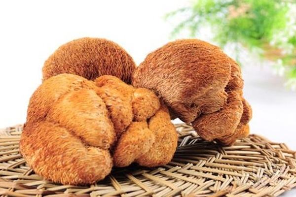 猴头菇适合什么季节煲汤,养生猴头菇怎么吃好吃呢