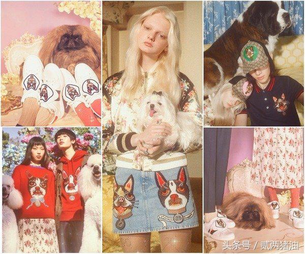 Gucci、LV、小CK狗年汪星人大集合！快把时尚汪们带回家