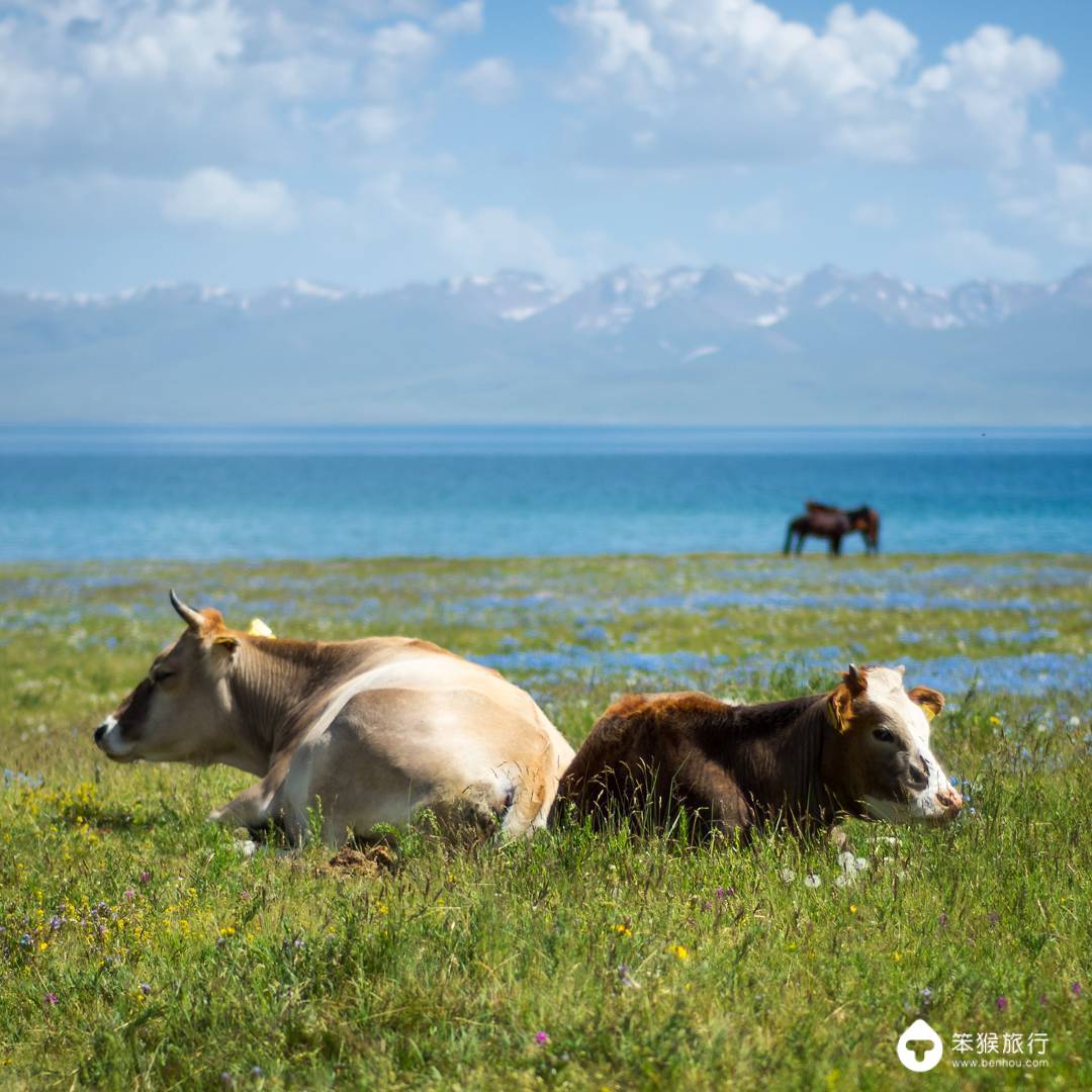 这里曾是中国领土，被誉为「中亚瑞士」，游客3天拿到电子签
