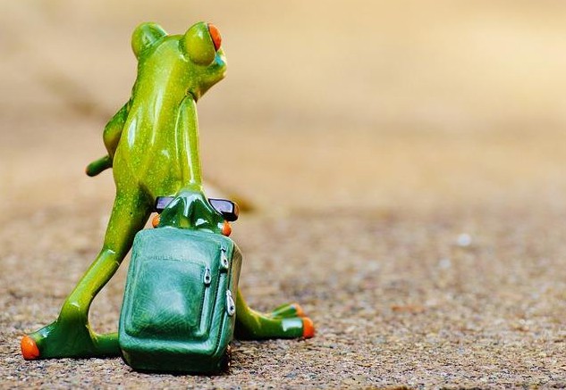 旅行青蛙道具,旅行青蛙离家出走后怎么办