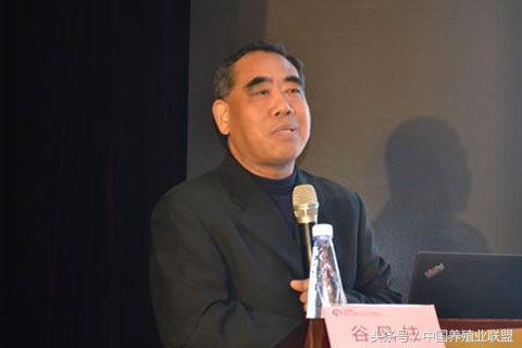 一招解决禽病的方法,怎么学习禽病技术