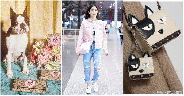 Gucci、LV、小CK狗年汪星人大集合！快把时尚汪们带回家