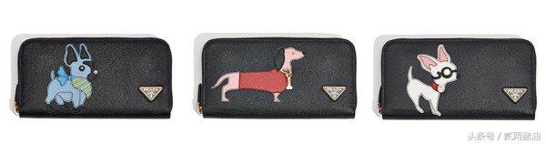 Gucci、LV、小CK狗年汪星人大集合！快把时尚汪们带回家