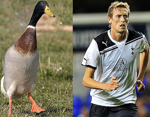 贝克汉姆成为英格兰英雄,贝克汉姆成为足球俱乐部老板