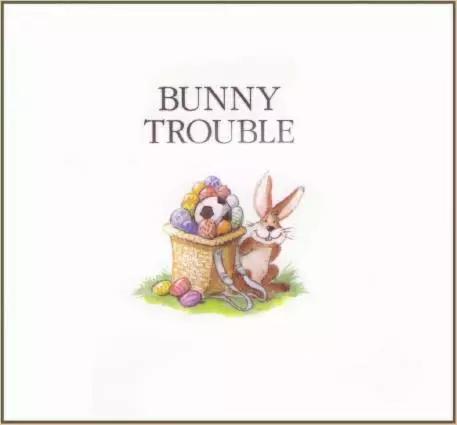 bunnyrabbit绘本,英语绘本小故事bubble