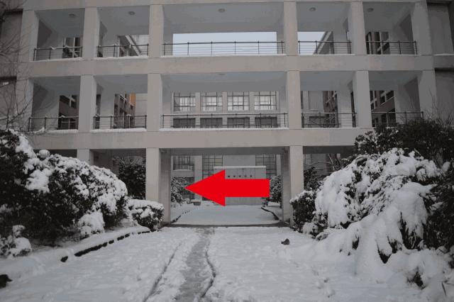 别担心，医学院的猫都还挺好的