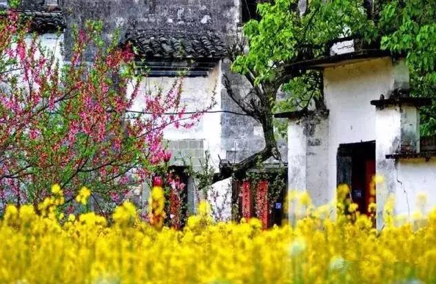 国内风景最好的旅游景点冬天,国内各地最美的十大自驾游线路