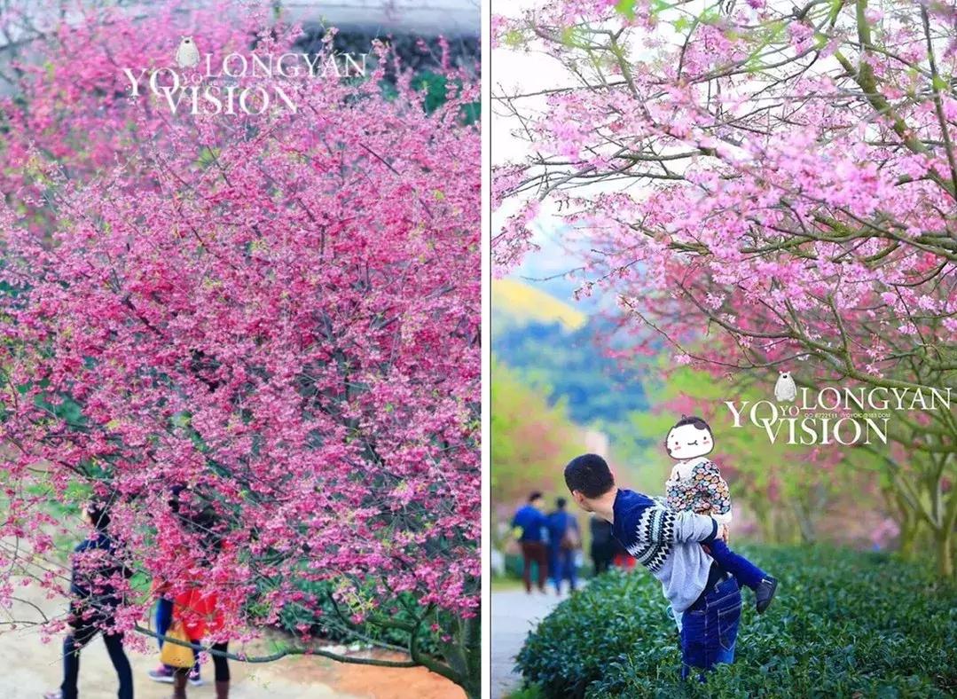 国内风景最好的旅游景点冬天,国内各地最美的十大自驾游线路