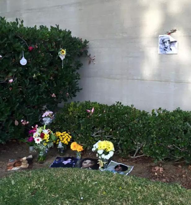 杰克逊墓地在哪可以参观,迈克尔杰克逊墓室内部