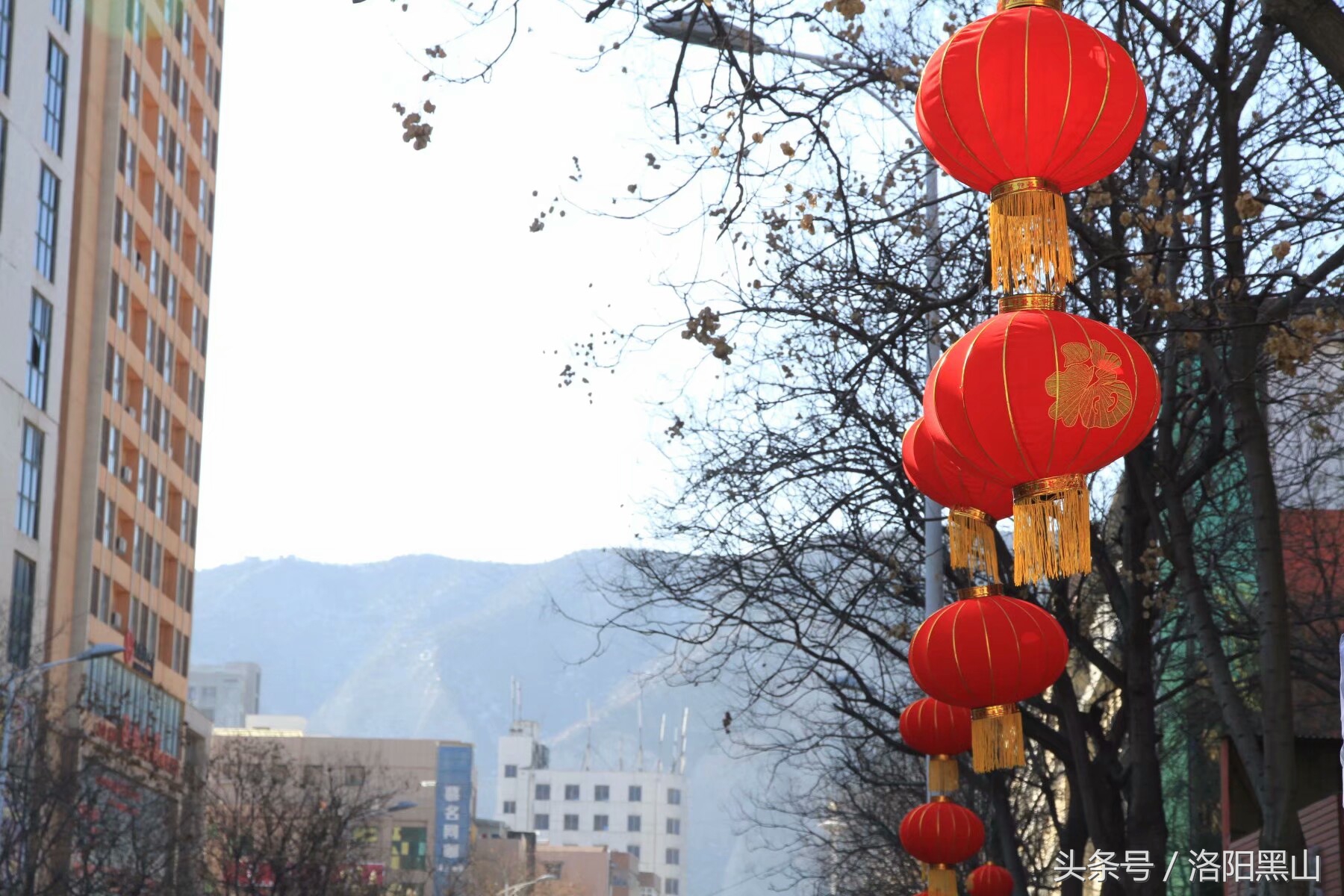 宜阳灯笼,宜阳元宵挂灯